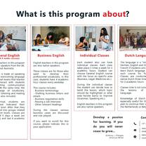 What is this program about