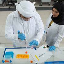 A middle eastern male and female student work in the lab with chemicals, gloves, and lab coats.