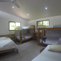 Shared Room 