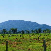Landscape photo of Belize