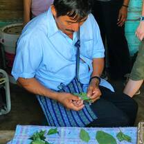 Lesson about traditional medicine from bush doctor