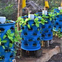 Permaculture