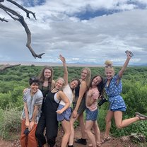 Safari! 
