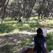 Self-Discovery Gap Year in Greece with HISA
