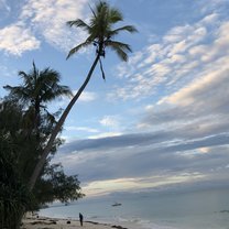 Kairo, Zanzibar 