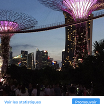Amazing architecture, this is thé garden by the bay 