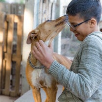 A patient bonds with a dog at a canine therapy placement in Argentina