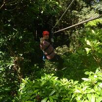 Monteverde
