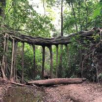 Monteverde