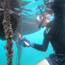 Biorock Reef Maintenance 
