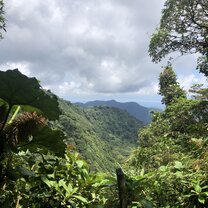 El Bosque Nuboso This is a look out in one of my favorite places in Costa Rica... the cloud forest of Monteverde.