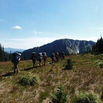line of backpackers crossing an open field