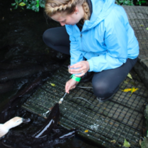 Me feeding the eels