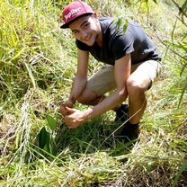 Planting trees one at a time!  First steps to a new forest