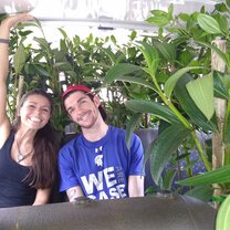 Off tree planting  Trees ready to plant