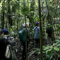 Conducting surveys through the jungle, important work and a great adventure
