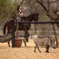 Wildlife research