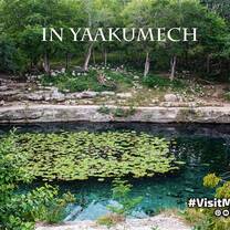 Cenotes