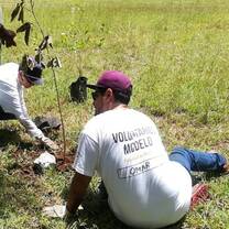 Volunteers planting trees. With kind permission for the use of the photo granted by Ecosuby