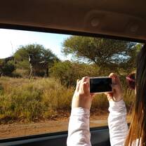 On our way to the farm - Butterfly!