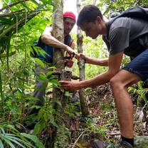 Forest monitoring 