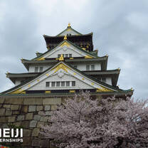Dive into Osaka's best photo spots and find your favourite spot!