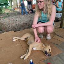 We were able to help as a spay and neuter clinic where we helped the dogs and cats recover from their Anastasia. 