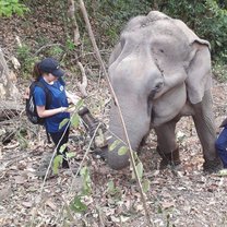 One of the many lovely days in the field.