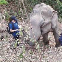 One of the many lovely days in the field.