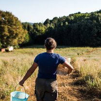 Intern at Work carrying a bucket of water on a farm