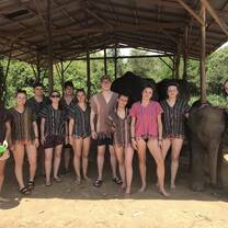Elephant Sanctuary 