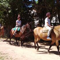 Enjoy horse riding in the Natural Park of Cazorla