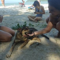 Huey,  a sweet stay we met on excursion day. He guided and followed us straight to the beach! 