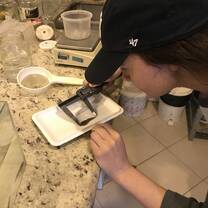 Working as an amphibian researcher
