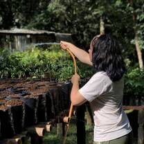 Watering the Nursery in order to protect the newly planted species. 