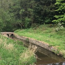 A creek and bridge found on the rim of campus via a walking path