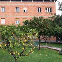 the JFRC orange grove 
