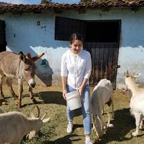 Animal care Project