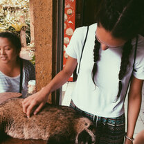 volunteers in Bali with IVHQ