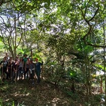 Pictured is the group of volunteers I traveled with from the United States during our very first day in the agroforest!  We are all holding the tools we used to crown several trees and cut down branches so the low lying trees/plants can receive the sunlight they need to grow!