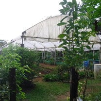 A farm
