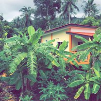 Home sweet home
