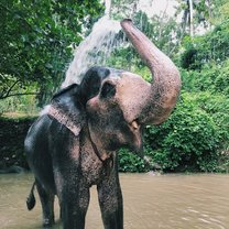 a quick shower in the river