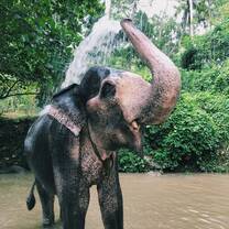 a quick shower in the river