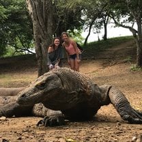 Trip to the Komodo Islands to see Komodo dragons