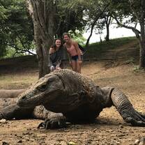 Trip to the Komodo Islands to see Komodo dragons