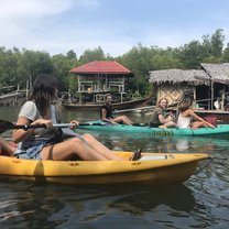 Kayaking around the monkey mangroves
