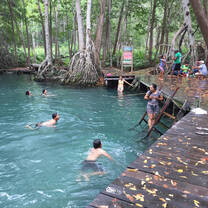  Volunteer Programs in Mexico from $320