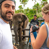 bali elephant
