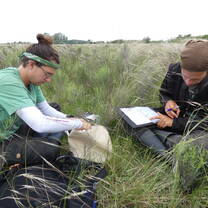 Fieldwork